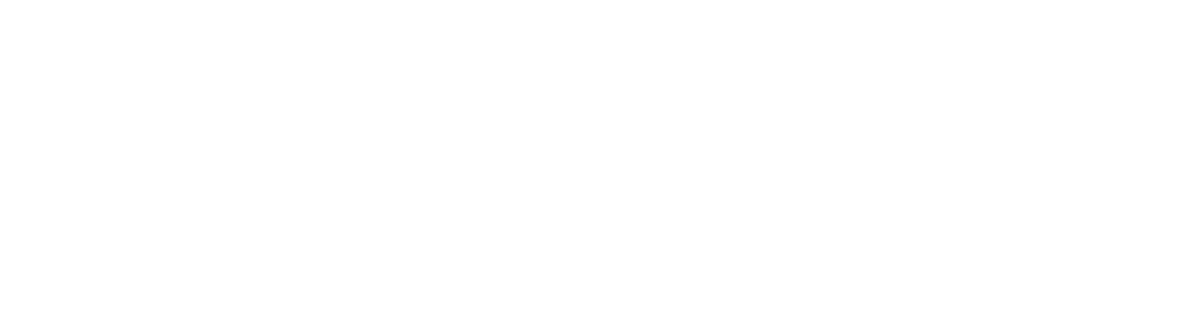 NikiPizza-White-logo